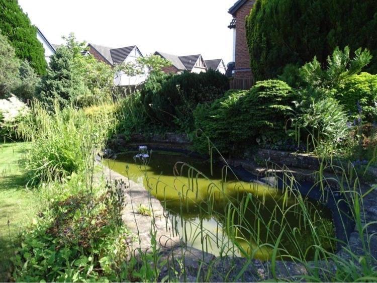 Vallum House Carlisle  Ngoại thất bức ảnh
